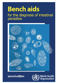 Pdf Bench Aids For The Diagnosis Of Intestinal Parasites