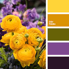 purple and yellow color color palette