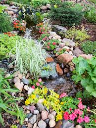 Water Garden Ideas To Create A Backyard