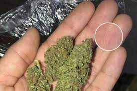 In canada, marihuana cigarettes rarely contain any tobacco, and may vary in size from a few hundred milligrams up to a several gram bomber.. Un Traficante Vendia Marihuana En La Dark Web De Forma Anonima Lo Identificaron Gracias A Una Foto De Sus Dedos