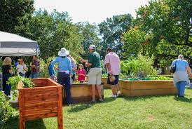master gardeners has raised bed cl
