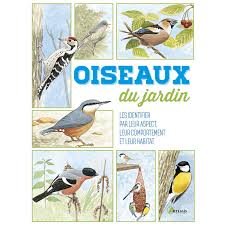 Les chants,, les cris des oiseaux des jardins et de france. Oiseaux Du Jardin Ligue Royale Belge Pour La Protection Des Oiseaux