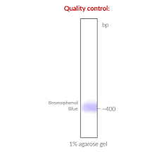 6x b loading buffer for dna tracking