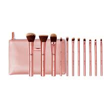 brush set with cosmetic bag