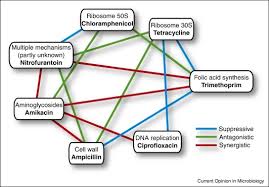 Antimicrobial Interactions Mechanisms And Implications For