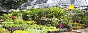 Wisconsin Native Plant Nurseries