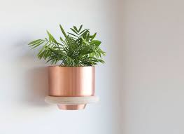 This Minimalist Wall Mounted Planter