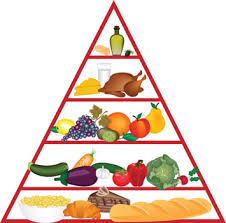 Understanding The Food Pyramid For Kids The Healthy Bite