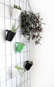 Easy Diy Hanging Plant Wall