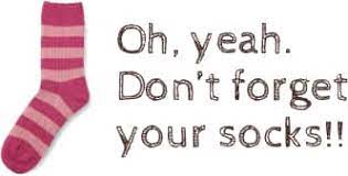 What is Playgrounds? | Playgrounds of Tampa