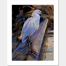 Great White Heron Bird Posters And