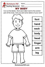 The questions in this segment consists of two statements, one labelled as ?assertion 4? My Body Free Printables Worksheets Pdf
