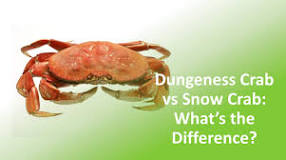 Which tastes better Dungeness or snow crab?