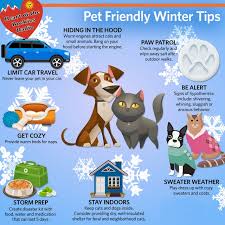 winter weather tips to keep your pets