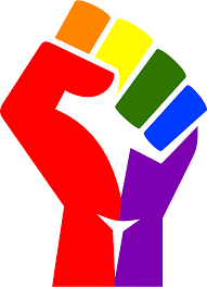 Image result for rainbow flag in a fist