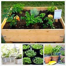 How To Plant Vegetables In Containers