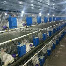 Jun 03, 2021 · raising rabbit can be a great income source to the unemployed educated people and landless farmers. China Provide New Design Commercial Rabbit Cage For Rabbit Farm Of Rabbit Cage From China Suppliers 158754518