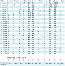 Heigth And Weight Chart Height Weight Chart Youth Height And