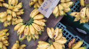 One of the sweetest and smallest banana varieties, the baby banana is also known as the finger banana, ladyfinger banana, nino banana. 14 Unique Types Of Bananas