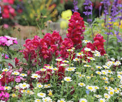 Avoid Cutting Back These 10 Perennials