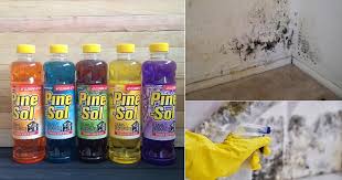 does pine sol kill mold and mildew