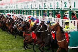 Only deposits via cards or apple pay will qualify. Horse Racing Betting Explained Which Ways Should You Place Your Bet Horseracingchat Co Uk