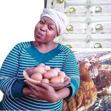 As a leading egg donation agency in south africa, baby2mom has a solid history of nearly 1,900 successful egg donation programmes, and is growing every year. Eggs Help Entrepreneur Crack Into The Agriculture Sector
