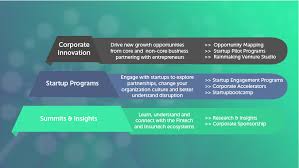 Unleashing the Potential of Innovation: A Roadmap to Success