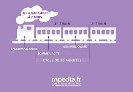Mémo : cycles du sommeil chez bébé, le petit train - mpedia.fr
