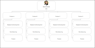 6 Org Chart Templates You Can Use To Create An Accurate Org