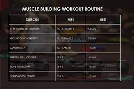 30 day muscle building workout plan