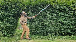 10 best telescopic hedge trimmers