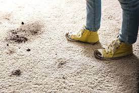 get mud stains out of carpet