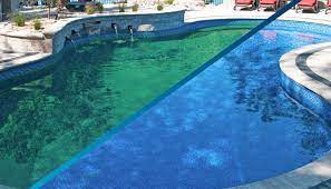how to prevent get rid of pool algae