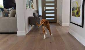 pet friendly flooring durable easy