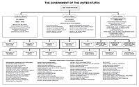Diagram Of The Federal Government And American Union