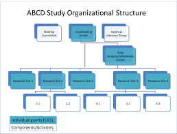 Abcd Study Organizational Structure Collaborative Research