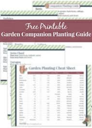 15 Unusual Companion Planting Chart Free