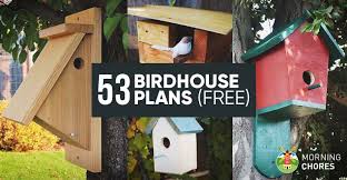 53 Diy Birdhouse Plans That Will
