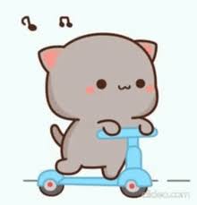 animated cat in scooter gif gifdb com