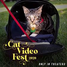 When we open, the safety of our teammates and guests — #alamoathome (@alamodrafthouse) june 19, 2020. Feature Length Cat Video Compilation Makes A Leap Onto The Top Of The Cat Tower The Brooklyn Home Reporter