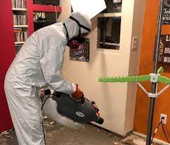 Basement Mold Removal By Mold Solutions