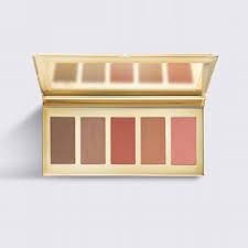 just gold artist contour kit nitya