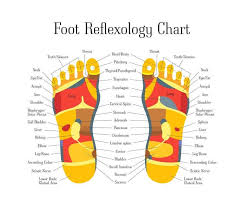 Foot Reflexology The Vital Touch Barcelona