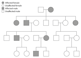 autosomal dominant inheritance