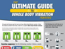 Guide To Whole Body Vibration Workout