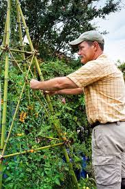 diy bamboo trellis tower with this how