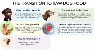 all about raw dog food darwin s
