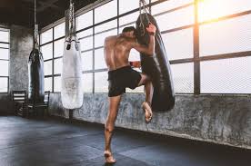 muay thai images browse 18 358 stock