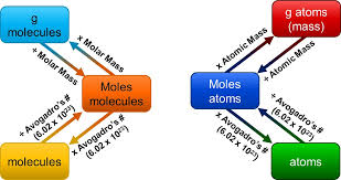 Moles To Molecules Mrkubuske Com